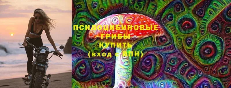 Галлюциногенные грибы Magic Shrooms  МЕГА онион  Короча 